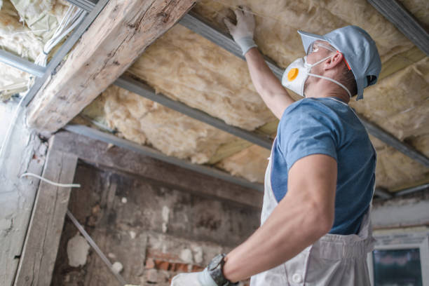 Best Insulation for Specific Applications in Swartz, LA