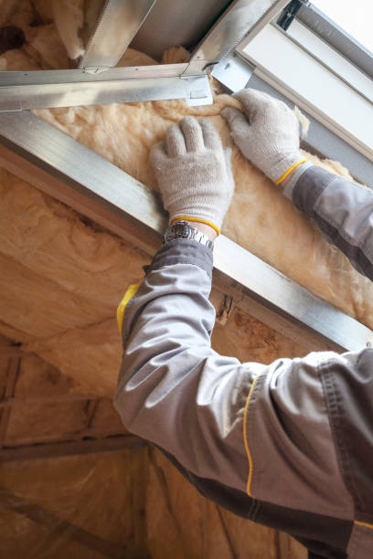 Best Specialty Insulation in Swartz, LA